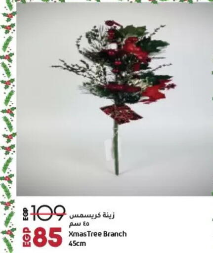 available at Lulu Hypermarket  in Egypt - Cairo