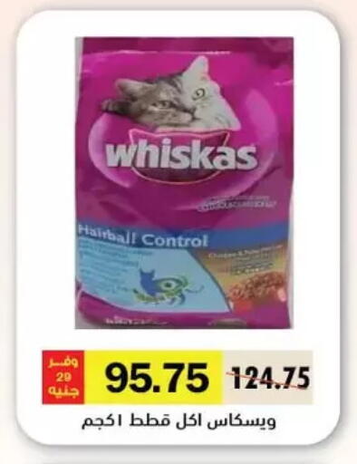 available at Royal House in Egypt - Cairo