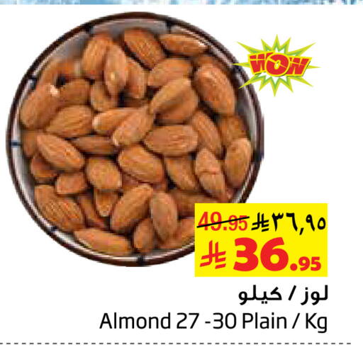 available at Layan Hyper in KSA, Saudi Arabia, Saudi - Al Khobar