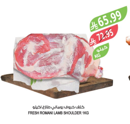 Mutton / Lamb available at Farm  in KSA, Saudi Arabia, Saudi - Al-Kharj