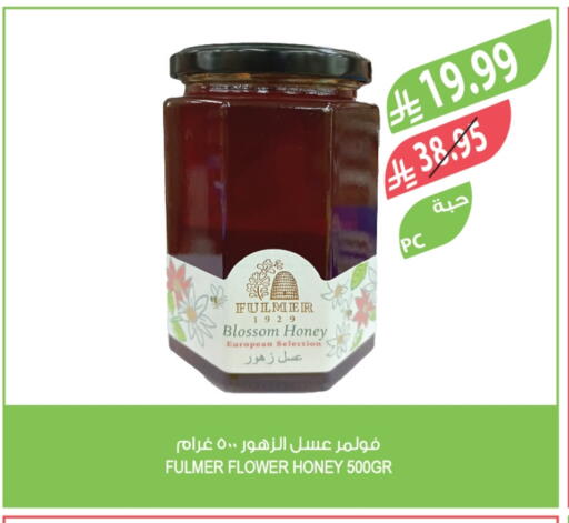 Honey available at Farm  in KSA, Saudi Arabia, Saudi - Tabuk