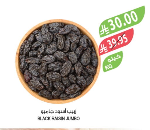 available at المزرعة in مملكة العربية السعودية, السعودية, سعودية - عرعر