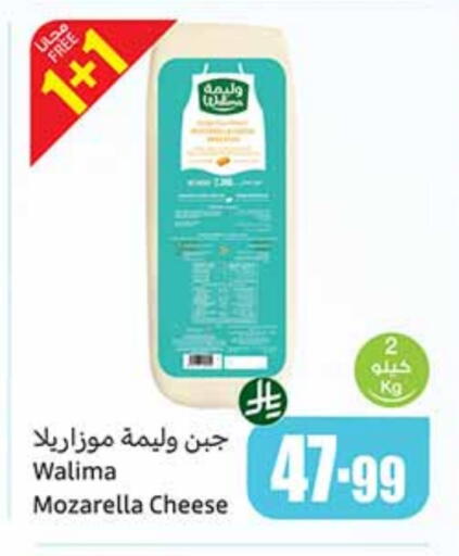 Mozzarella available at Othaim Markets in KSA, Saudi Arabia, Saudi - Sakaka
