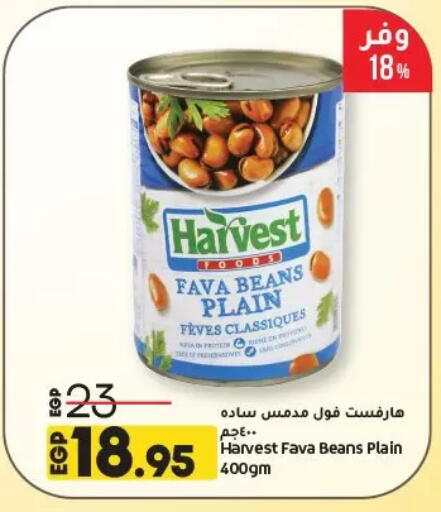 Fava Beans available at Lulu Hypermarket  in Egypt - Cairo