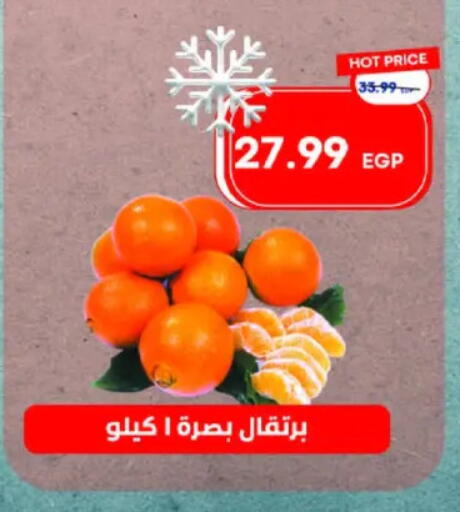 برتقال available at مترو ماركت in Egypt - القاهرة