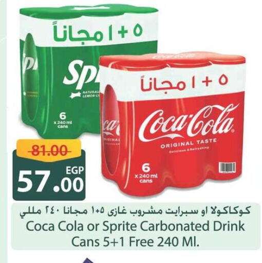 Lemon available at Spinneys  in Egypt - Cairo