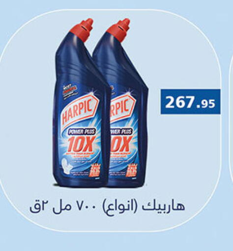 HARPIC General Cleaner available at Al Rayah Market   in Egypt - Cairo