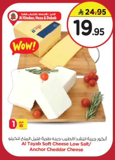 جبنة الشيدر available at نستو in مملكة العربية السعودية, السعودية, سعودية - الجبيل‎
