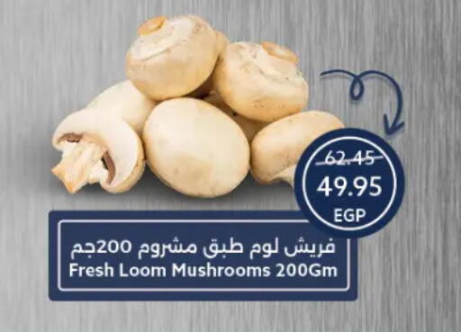 available at Oscar Grand Stores  in Egypt - Cairo