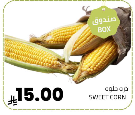 available at Astra Markets in KSA, Saudi Arabia, Saudi - Tabuk
