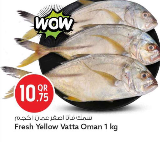 available at سفاري هايبر ماركت in قطر - الدوحة