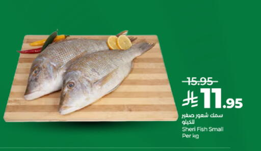 available at لولو هايبرماركت in مملكة العربية السعودية, السعودية, سعودية - الطائف