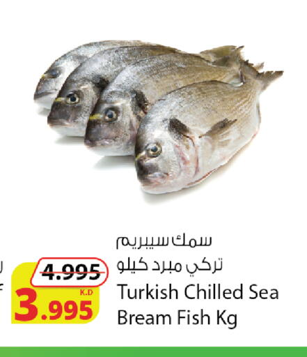 available at شركة المنتجات الزراعية الغذائية in الكويت - محافظة الأحمدي