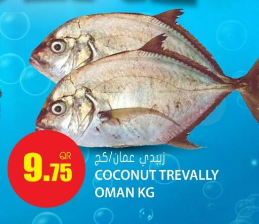 Coconut available at جراند هايبرماركت in قطر - الوكرة