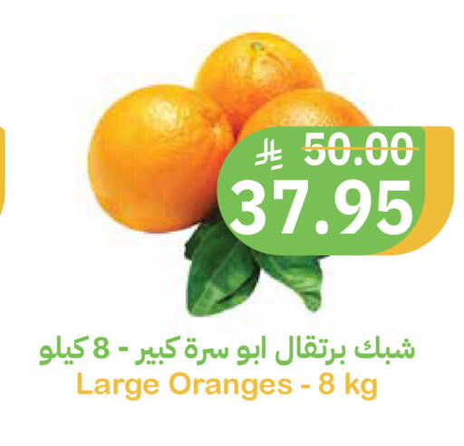 available at Qateba Markets in KSA, Saudi Arabia, Saudi - Buraidah