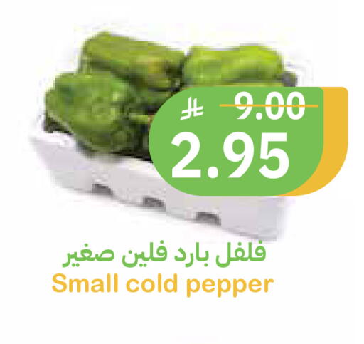Pepper available at أسواق قاطبة in مملكة العربية السعودية, السعودية, سعودية - بريدة
