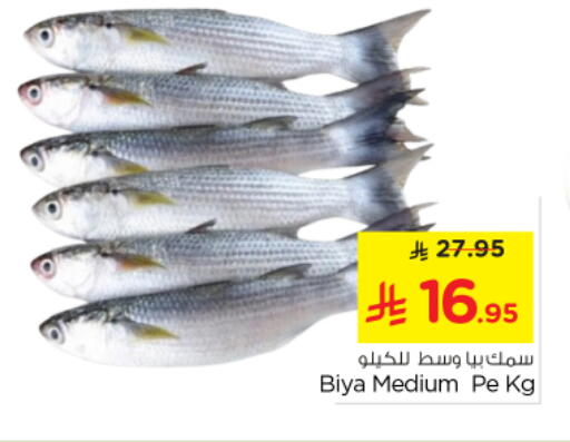 available at نستو in مملكة العربية السعودية, السعودية, سعودية - الرياض