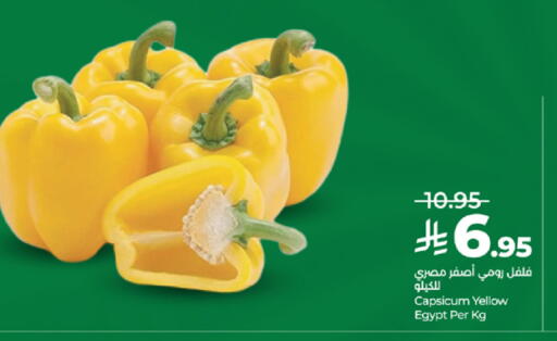 Capsicum from Egypt available at لولو هايبرماركت in مملكة العربية السعودية, السعودية, سعودية - تبوك