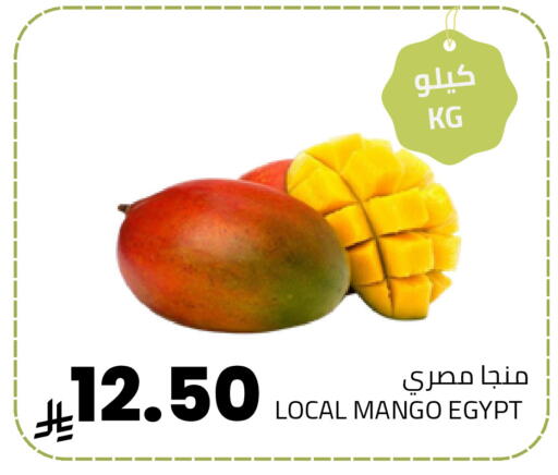 Mango from Egypt available at أسواق أسترا in مملكة العربية السعودية, السعودية, سعودية - تبوك