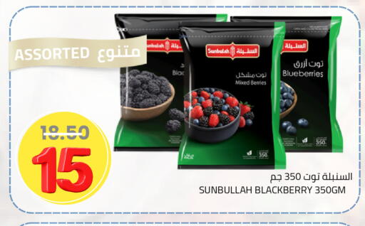 Blackberry available at Astra Markets in KSA, Saudi Arabia, Saudi - Tabuk