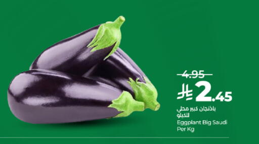 Eggplant from Saudi Arabia available at لولو هايبرماركت in مملكة العربية السعودية, السعودية, سعودية - تبوك