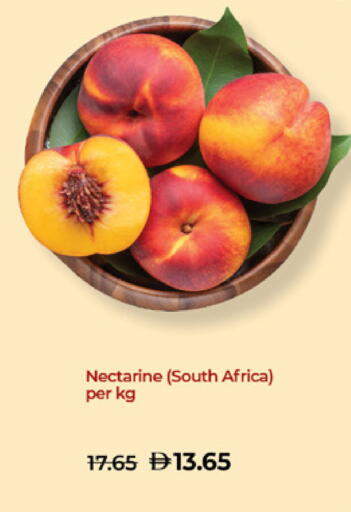 Nectarine from South Africa available at لولو هايبرماركت in الإمارات العربية المتحدة , الامارات - ٱلْعَيْن‎