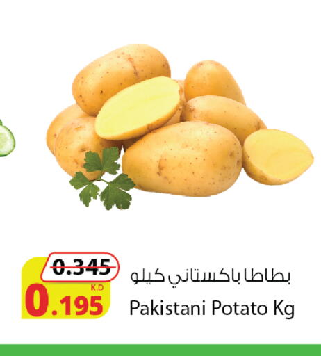 Potato from Pakistan available at شركة المنتجات الزراعية الغذائية in الكويت - مدينة الكويت