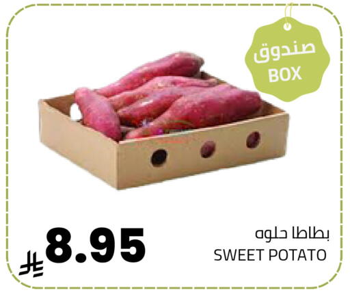 Sweet Potato available at أسواق أسترا in مملكة العربية السعودية, السعودية, سعودية - تبوك