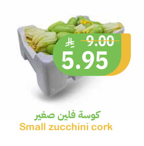 Zucchini available at أسواق قاطبة in مملكة العربية السعودية, السعودية, سعودية - بريدة