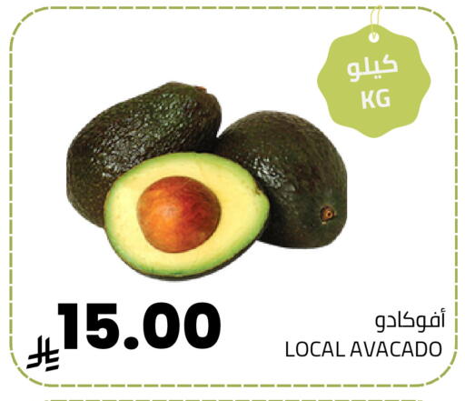 available at أسواق أسترا in مملكة العربية السعودية, السعودية, سعودية - تبوك