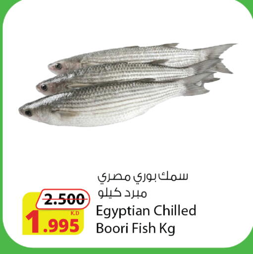 available at شركة المنتجات الزراعية الغذائية in الكويت - محافظة الأحمدي