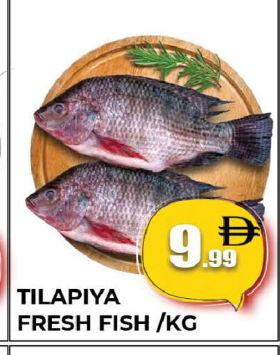 available at AL MADINA (Dubai) in UAE - Dubai