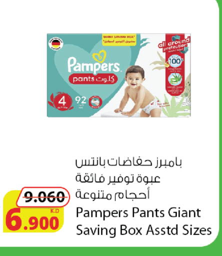 available at شركة المنتجات الزراعية الغذائية in الكويت - محافظة الجهراء