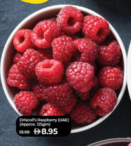 Raspberry available at لولو هايبرماركت in الإمارات العربية المتحدة , الامارات - ٱلْعَيْن‎
