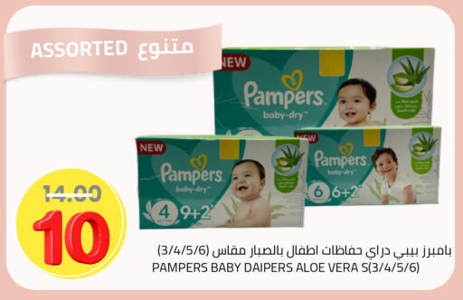 available at Astra Markets in KSA, Saudi Arabia, Saudi - Tabuk