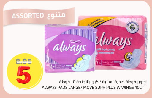 available at أسواق أسترا in مملكة العربية السعودية, السعودية, سعودية - تبوك