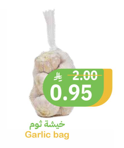 Garlic available at أسواق قاطبة in مملكة العربية السعودية, السعودية, سعودية - بريدة