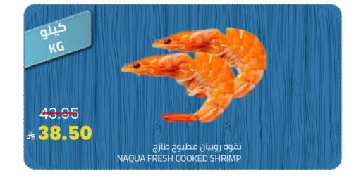 available at Astra Markets in KSA, Saudi Arabia, Saudi - Tabuk