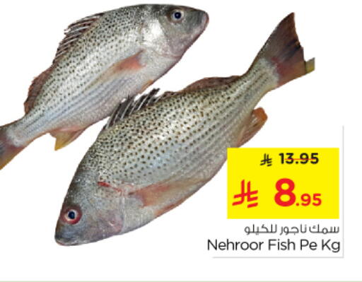 available at نستو in مملكة العربية السعودية, السعودية, سعودية - الرياض