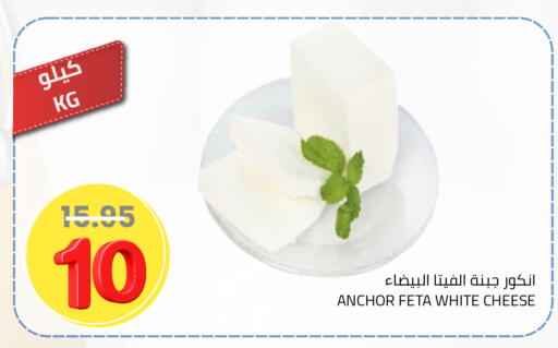 available at Astra Markets in KSA, Saudi Arabia, Saudi - Tabuk