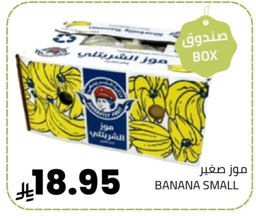 Banana available at أسواق أسترا in مملكة العربية السعودية, السعودية, سعودية - تبوك