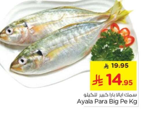 available at نستو in مملكة العربية السعودية, السعودية, سعودية - الرياض