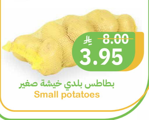 available at أسواق قاطبة in مملكة العربية السعودية, السعودية, سعودية - بريدة