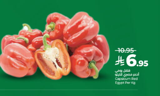 Capsicum from Egypt available at لولو هايبرماركت in مملكة العربية السعودية, السعودية, سعودية - تبوك