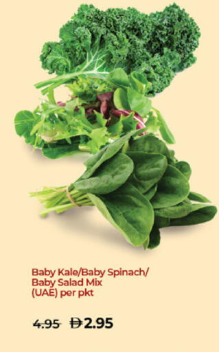 Kale Spinach available at Lulu Hypermarket in UAE - Al Ain