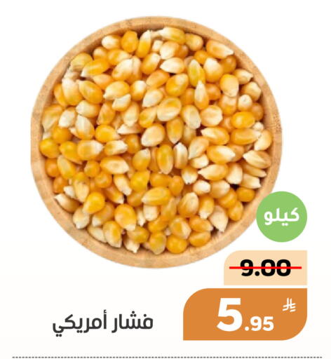 Apple available at Green Apple Market in KSA, Saudi Arabia, Saudi - Al Hasa