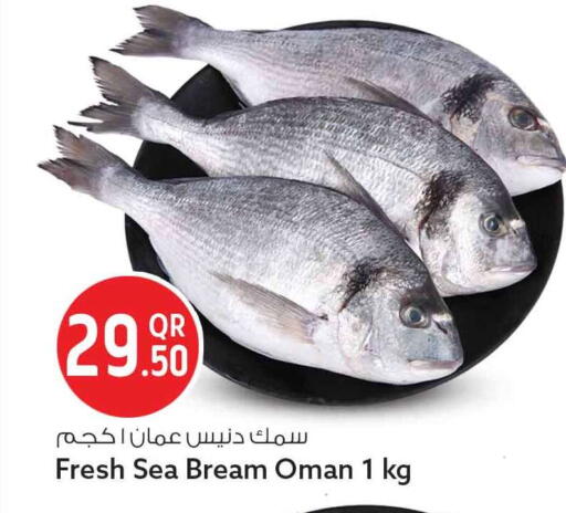 available at سفاري هايبر ماركت in قطر - الدوحة
