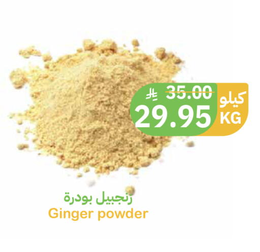 Ginger available at أسواق قاطبة in مملكة العربية السعودية, السعودية, سعودية - بريدة