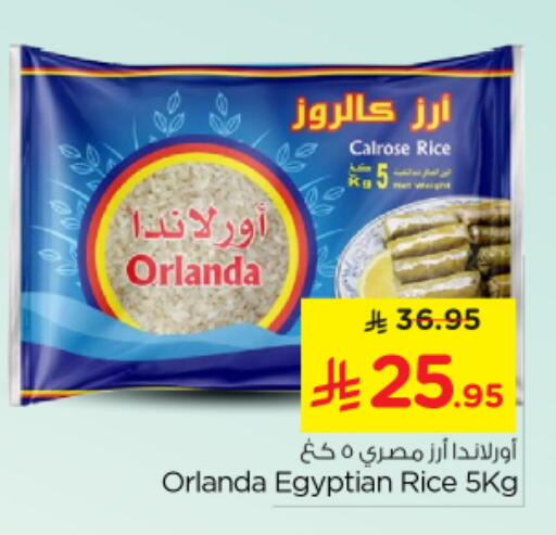 available at Nesto in KSA, Saudi Arabia, Saudi - Al Majmaah
