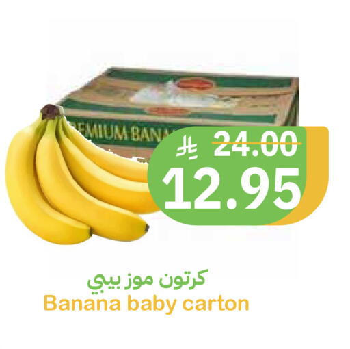 Banana available at أسواق قاطبة in مملكة العربية السعودية, السعودية, سعودية - بريدة